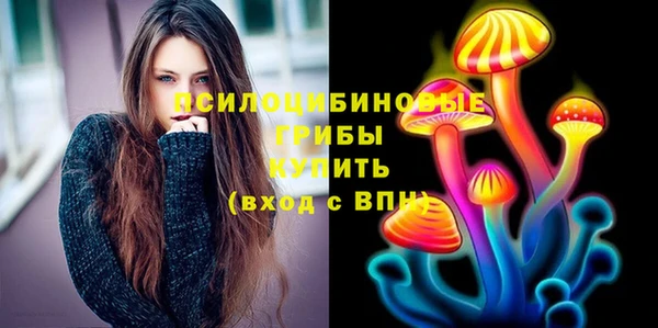 ГАЛЛЮЦИНОГЕННЫЕ ГРИБЫ Алексин