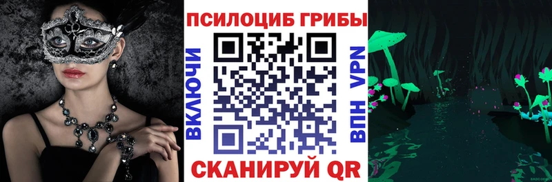 Галлюциногенные грибы Psilocybine cubensis  Купить  Шагонар 